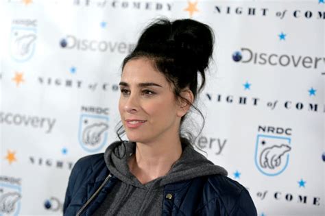 sarah silverman nsfw|Sarah Silverman posted a photo of her naked breasts to  .